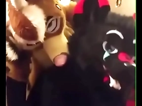 Fursuiters fuck in bathroom while bottom moans loudly